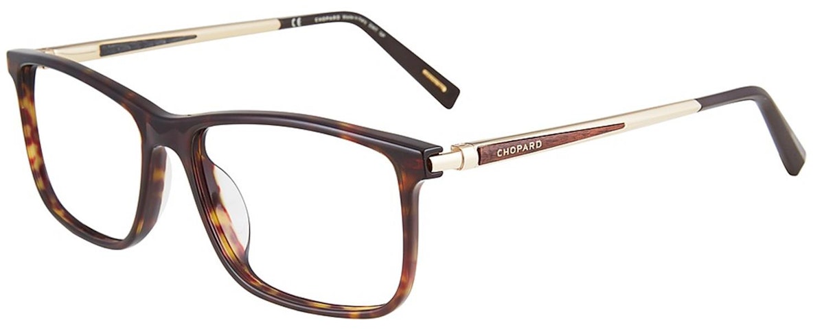Tortoise 0722