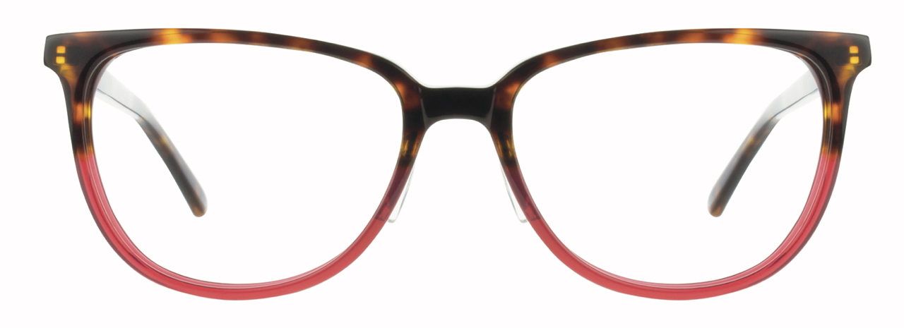 Tortoise / Raspberry