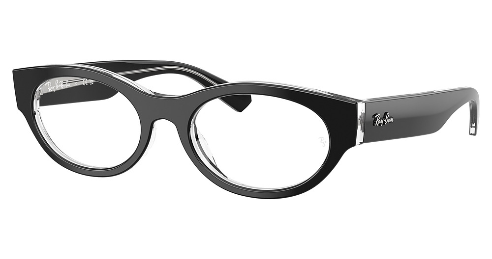 Ray-Ban RX5447 round eyeglasses in Black on Transparent