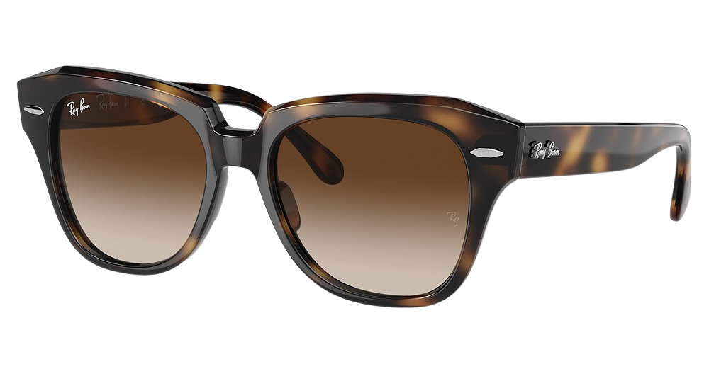 HAVANA / DARK BROWN GRADIENT