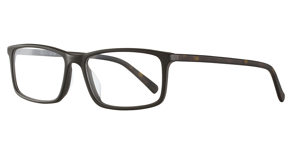 Black/Tortoise