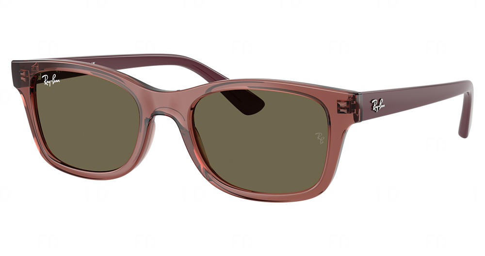 TRANSPARENT VIOLET / BROWN