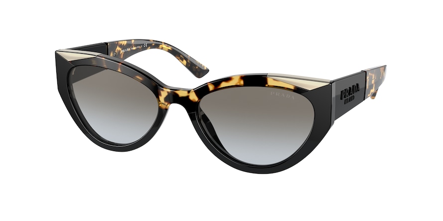 BLACK/MEDIUM HAVANA