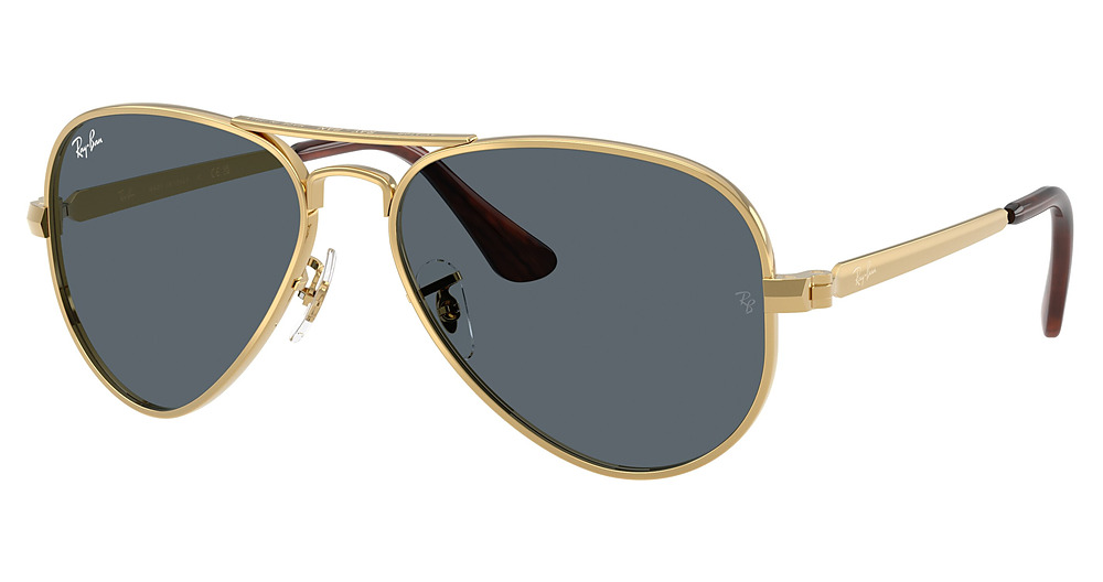 Ray-Ban RB3925 AVIATOR MAX aviator sunglasses in Arista/Blue