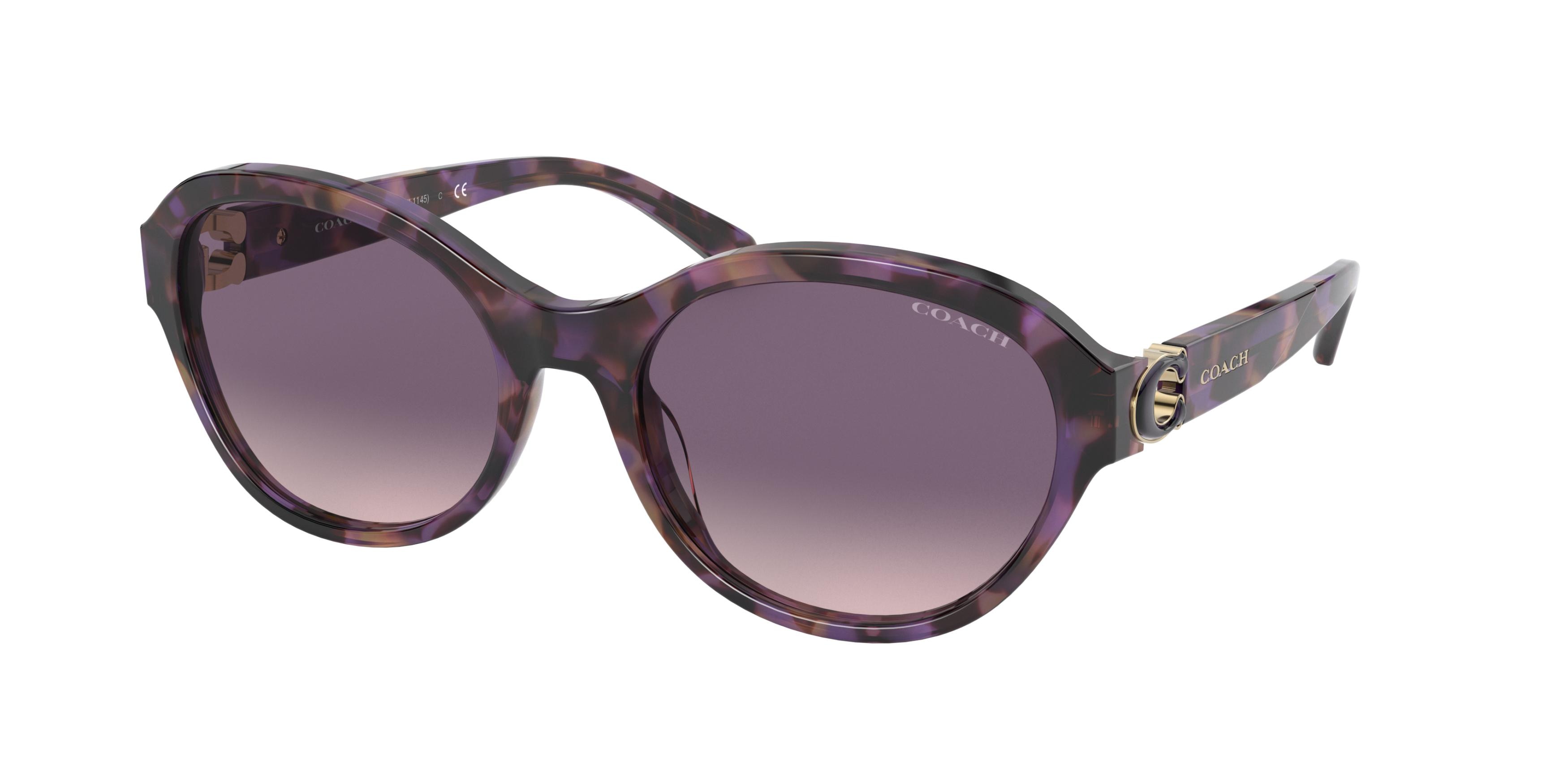 PURPLE TORTOISE