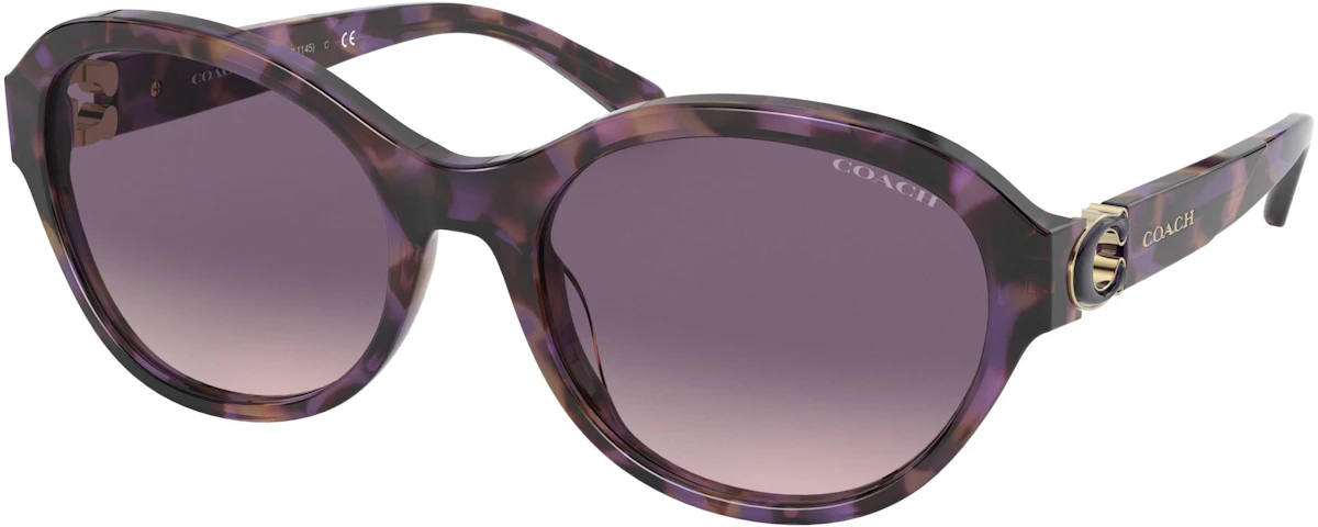 PURPLE TORTOISE