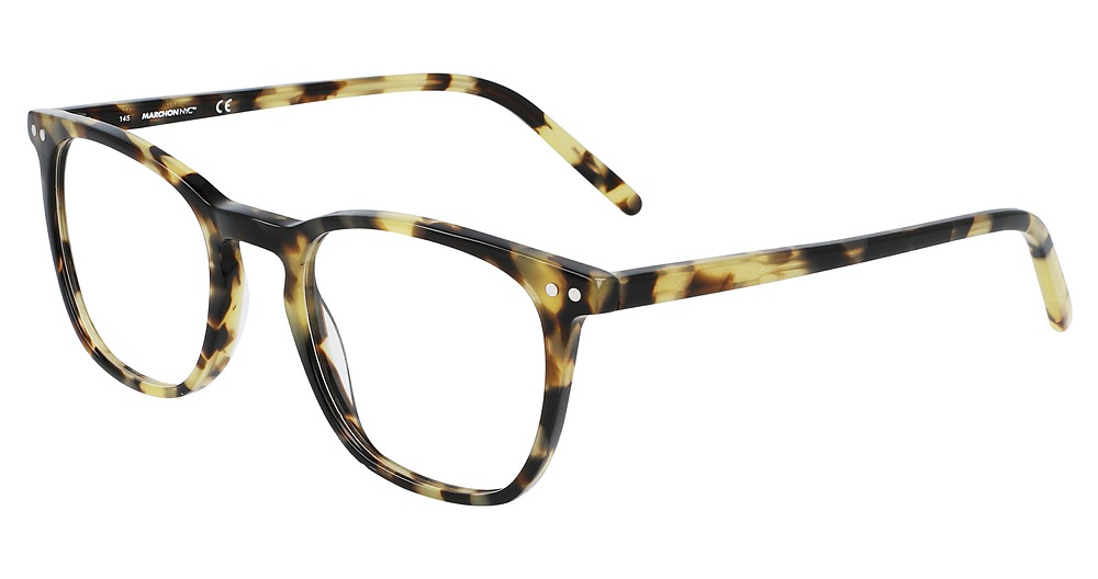 TOKYO TORTOISE
