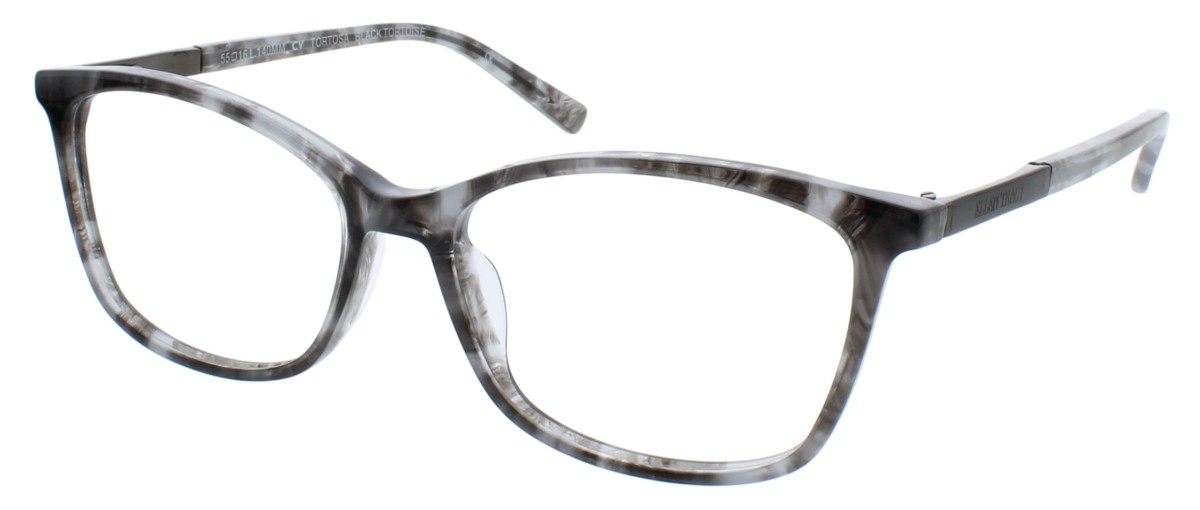 BLACK TORTOISE