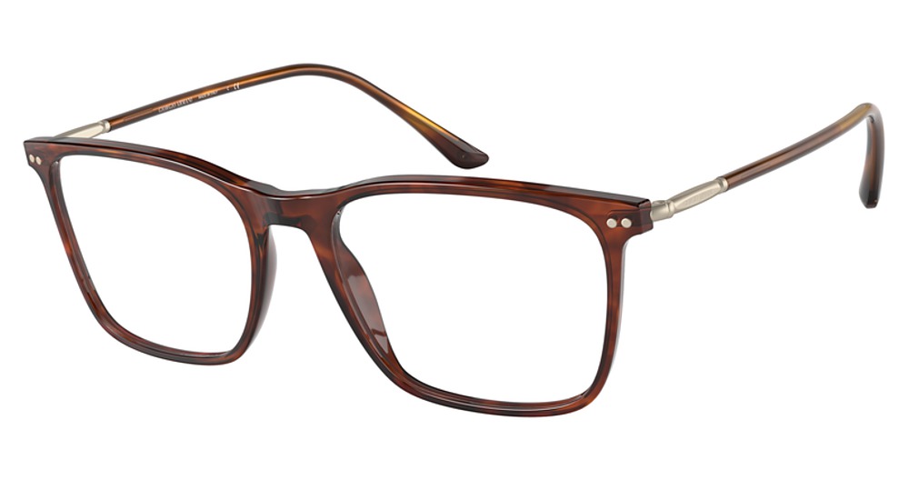 BROWN TORTOISE