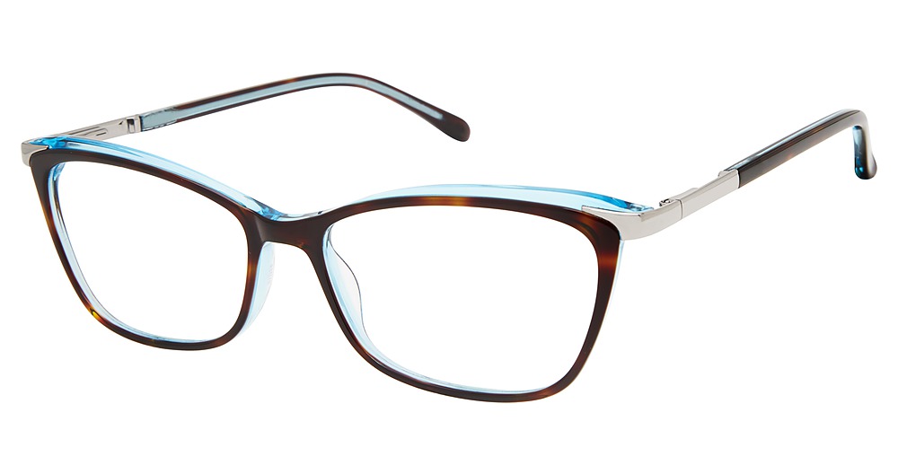 tortoise blue