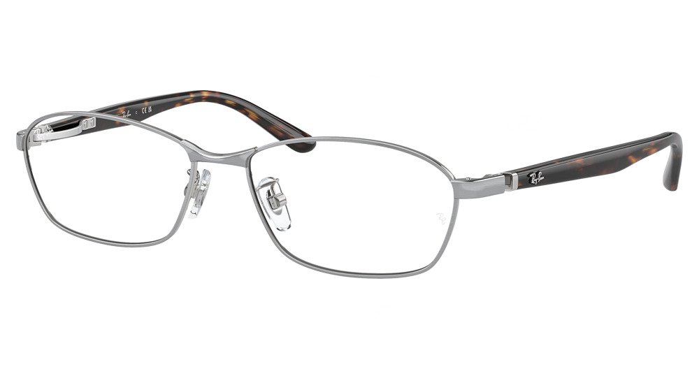 Ray-Ban RX6502D round eyeglasses in Brushed Silver