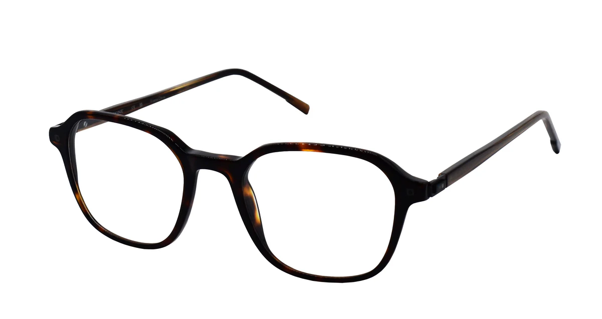 DARK TORTOISE