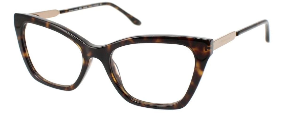 BLACK TORTOISE