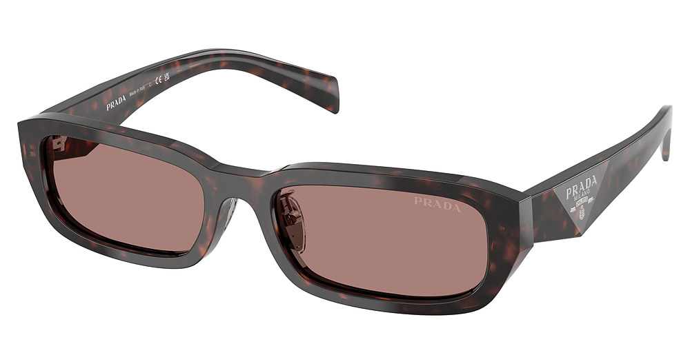 ROOT TORTOISE / LIGHT BROWN