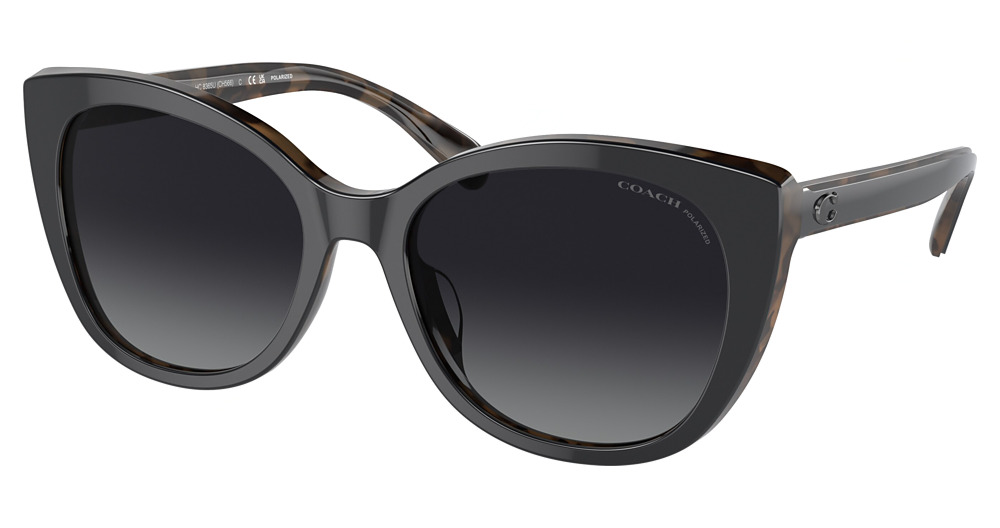 BLACK / DARK TORTOISE / GREY GRADIENT POLAR