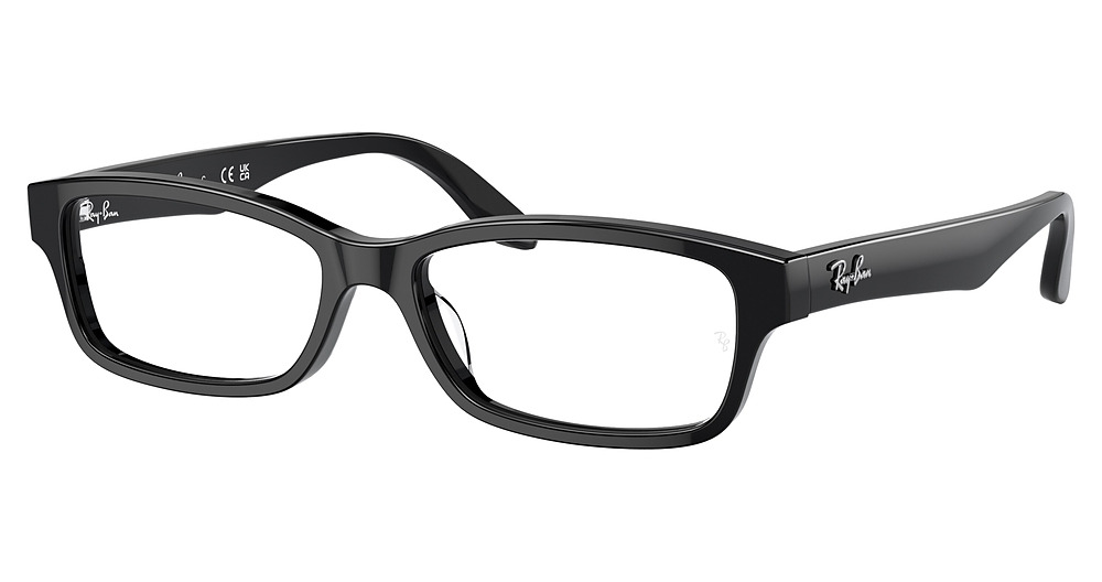 Ray-Ban RX5415D round eyeglasses in Black