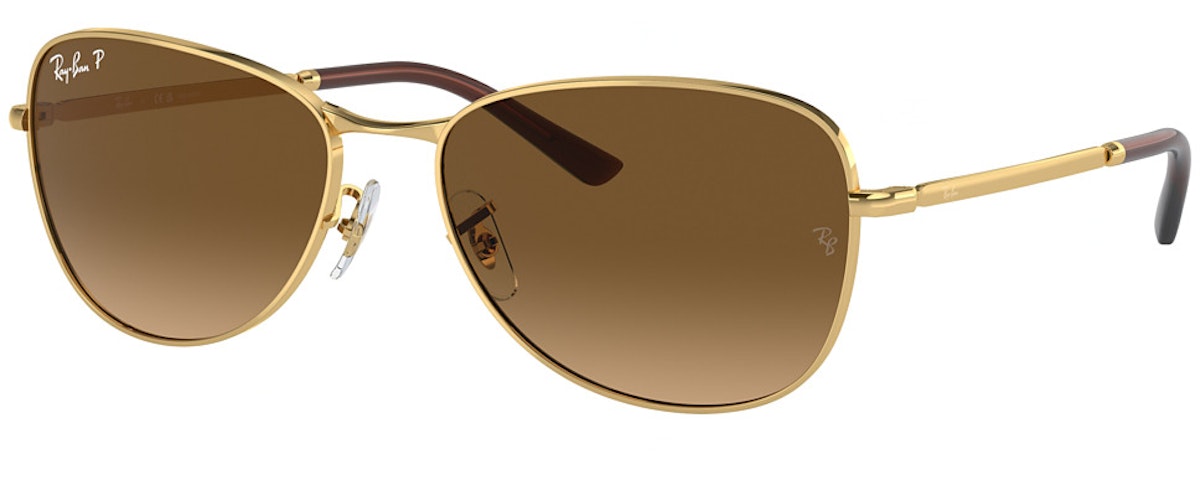 ARISTA / BROWN GRADIENT POLAR