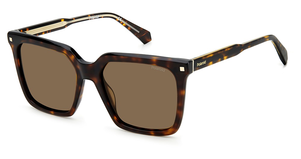HVN / BRONZE POLARIZED