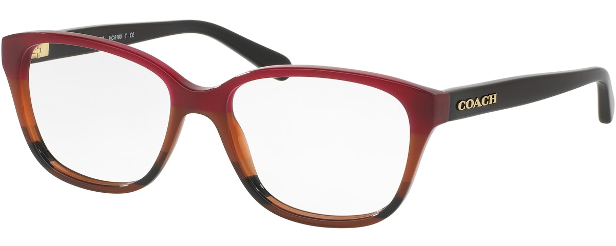 BURGUNDY TORTOISE GRADIENT