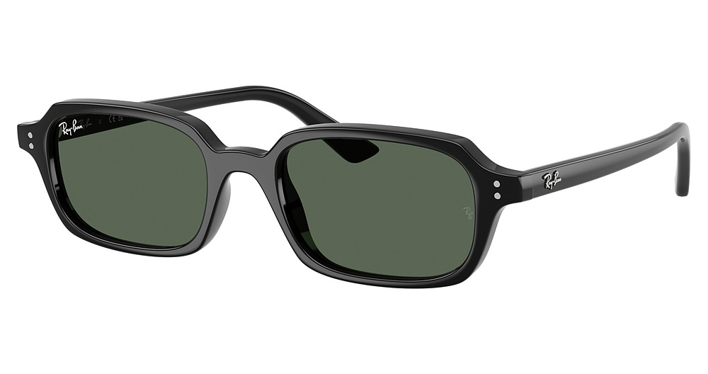 Ray-Ban RB4455 ZURI round sunglasses in Black/Dark Green