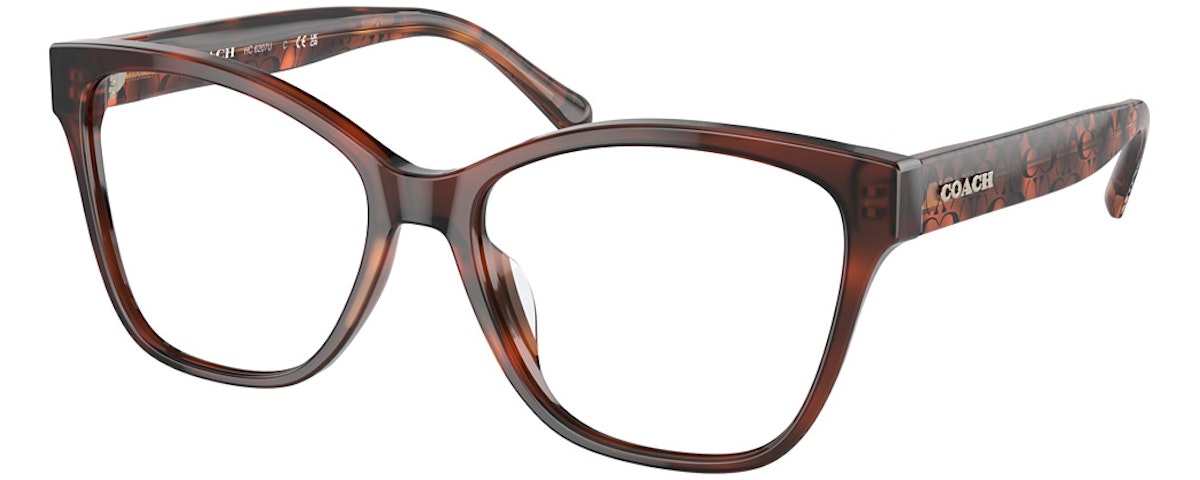 CARAMEL TORTOISE