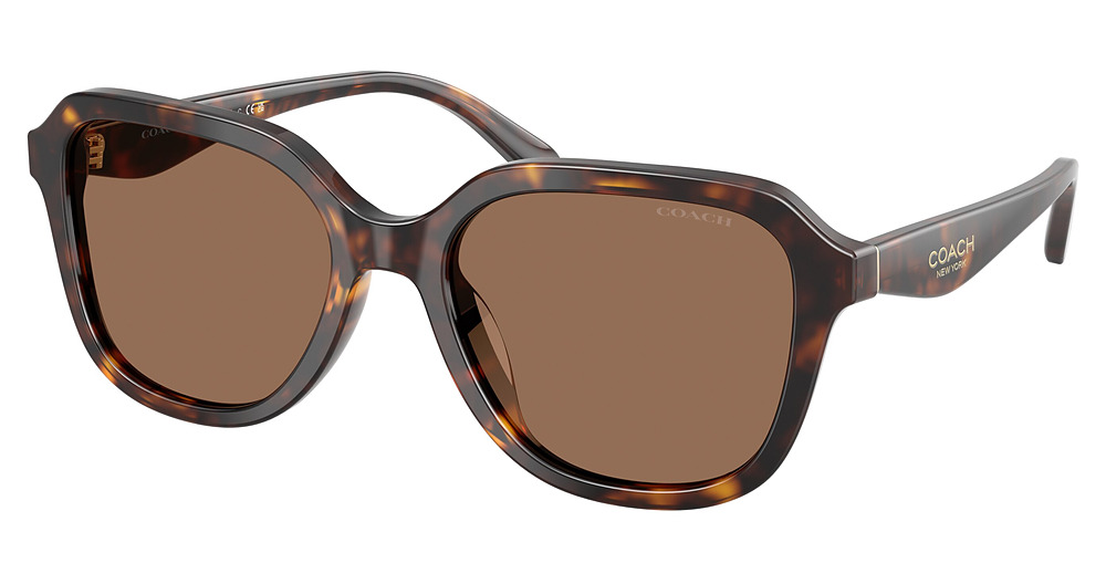 DARK TORTOISE / BROWN SOLID