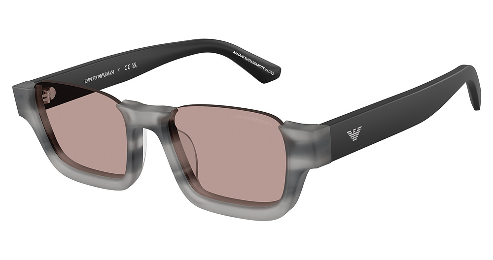 MATTE STRIPED HAVANA GRE / LIGHT PURPLE BROWN