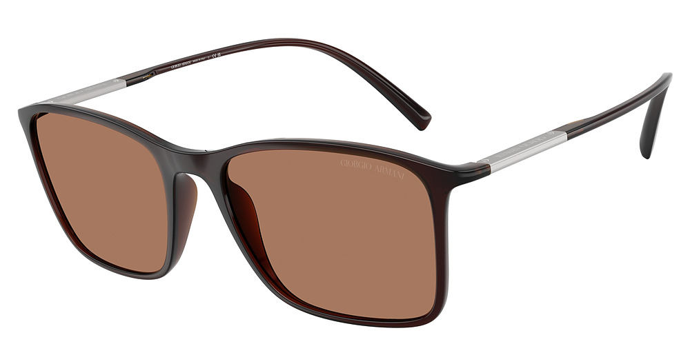 TRANSPARENT BROWN / BROWN