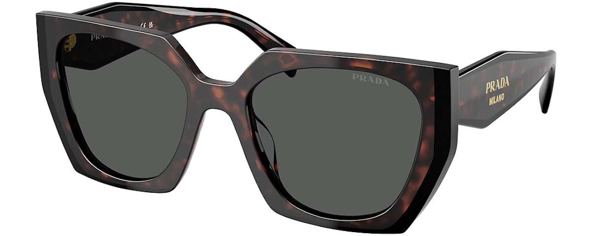 ROOT/BLACK / DARK GREY