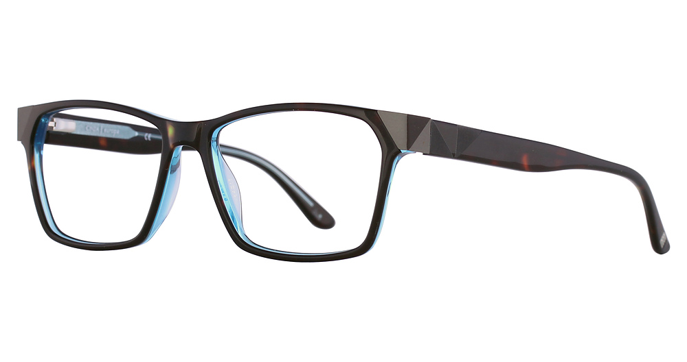 Dark Tortoise/Aqua