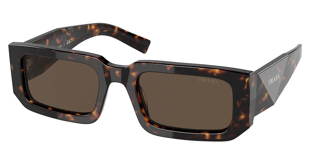 TORTOISE / DARK BROWN