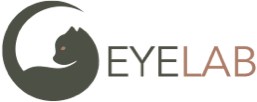 EYE LAB