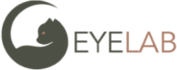 EYE LAB