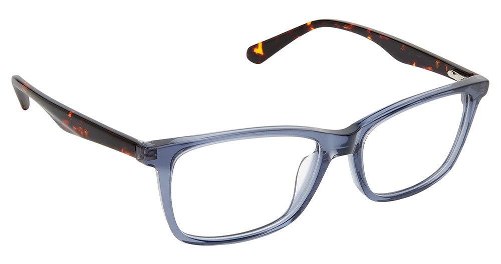 BLUE TORTOISE
