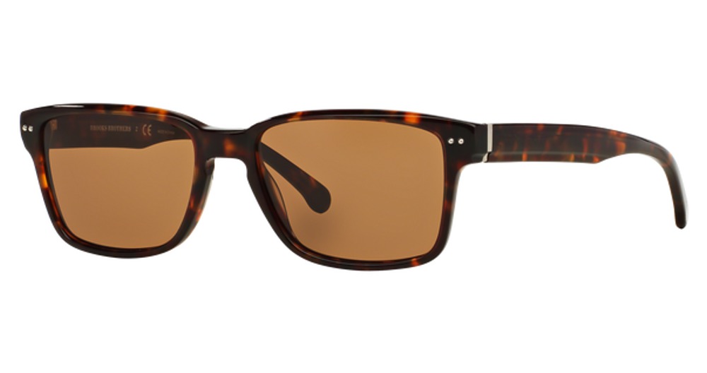 TORTOISE / BROWN
