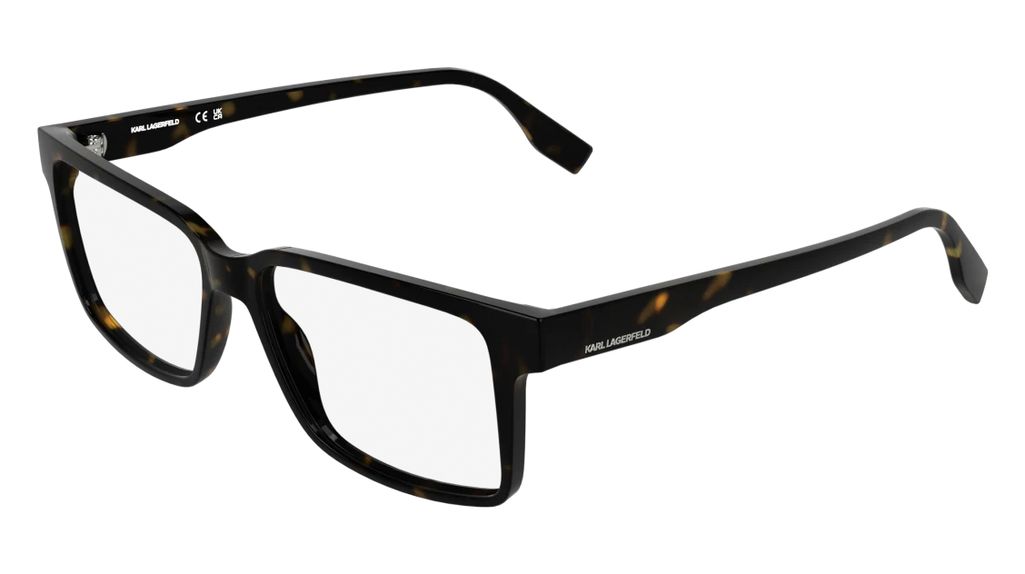 SHINY DARK TORTOISE