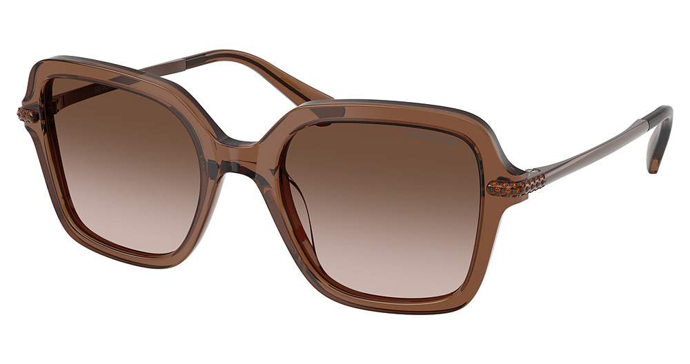 TRANSPARENT BROWN / BROWN GRADIENT