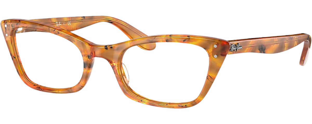 AMBER TORTOISE