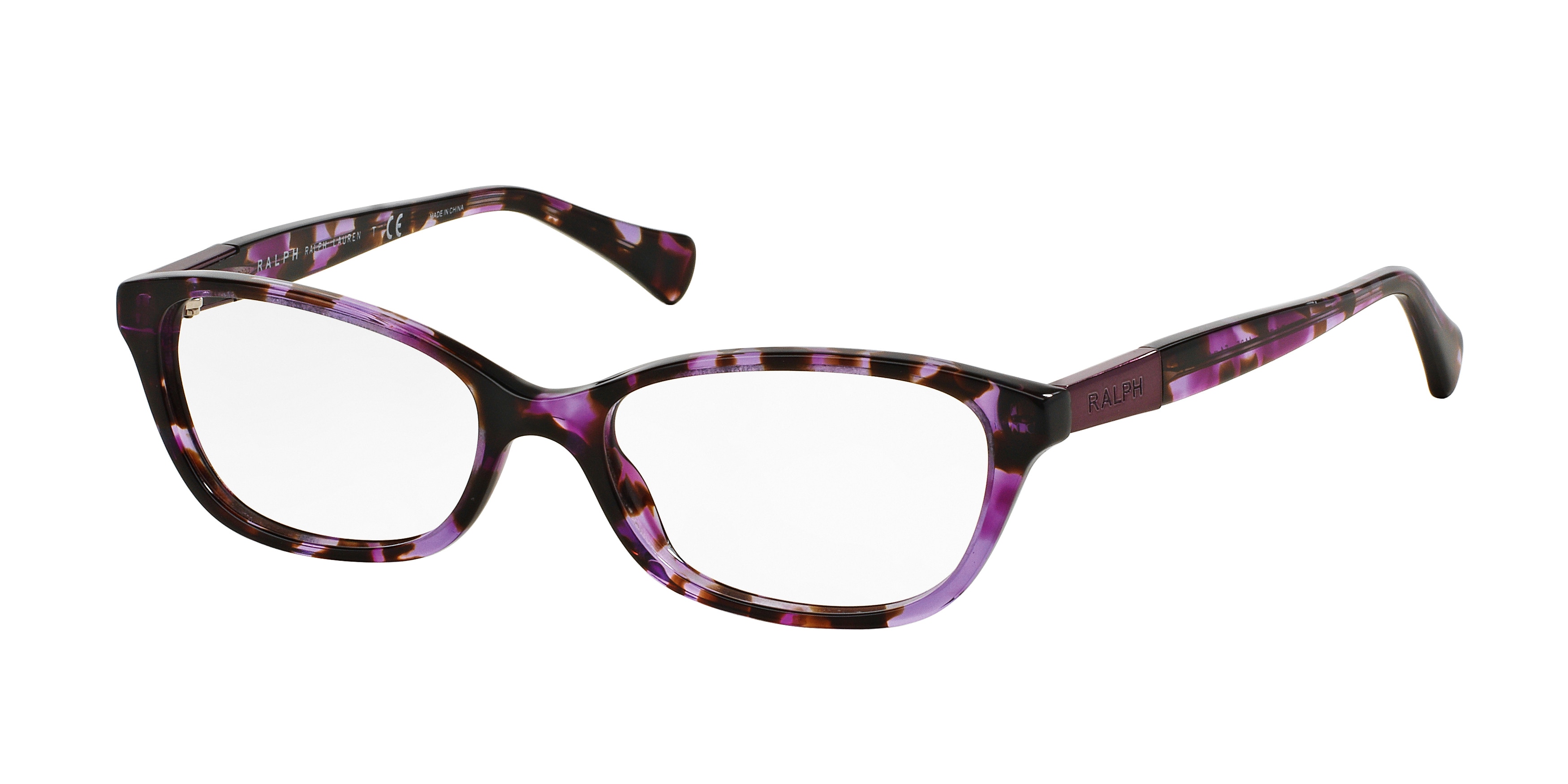 SHINY VIOLET TORTOISE