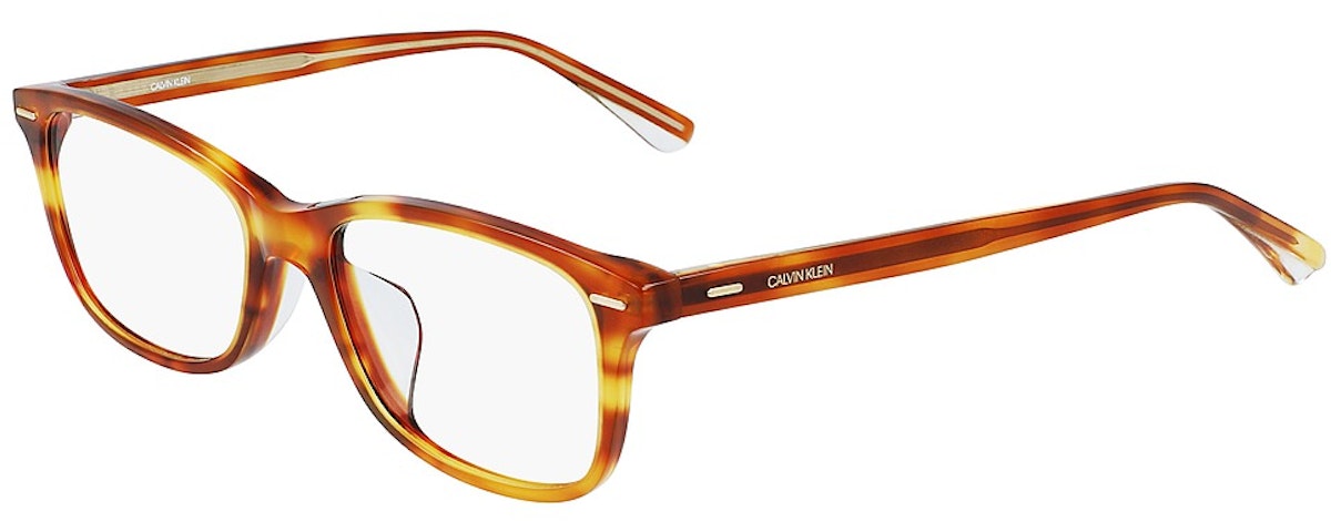 (259) HONEY TORTOISE