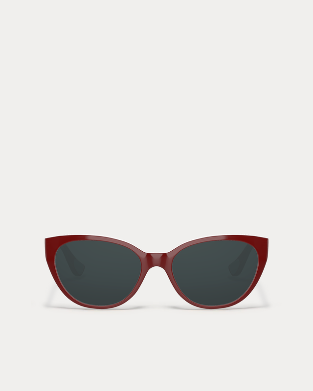 RED / Polarized Gray