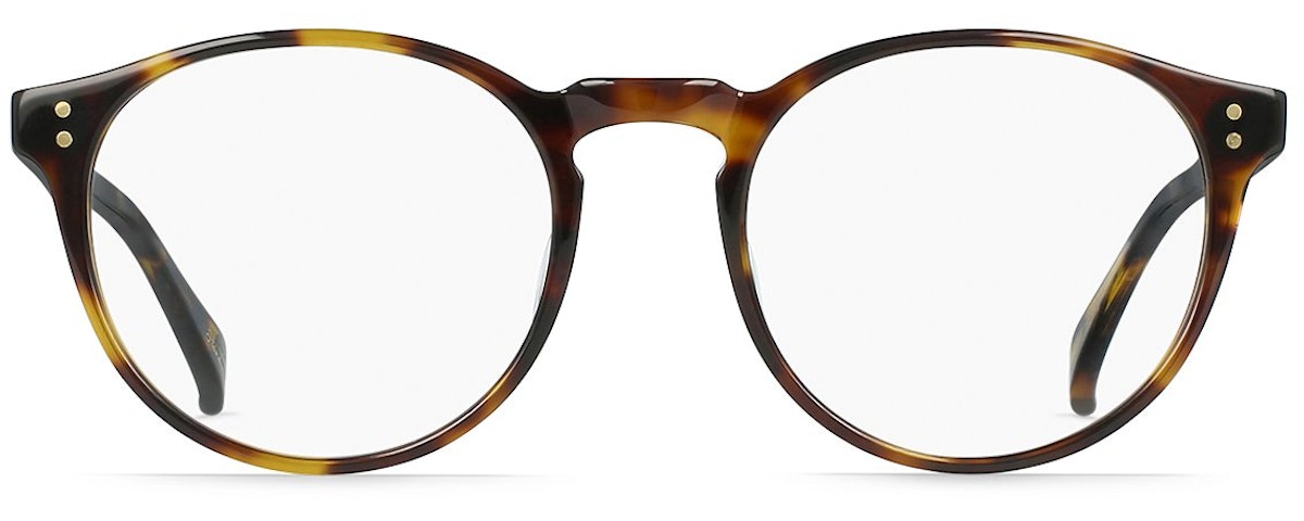 Kola Tortoise