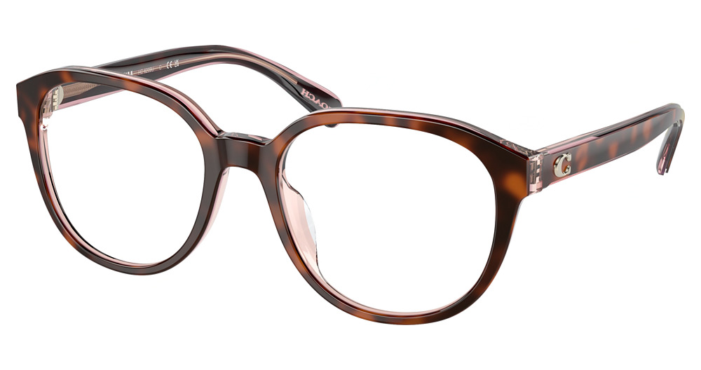 TORTOISE / TRANSPARENT P
