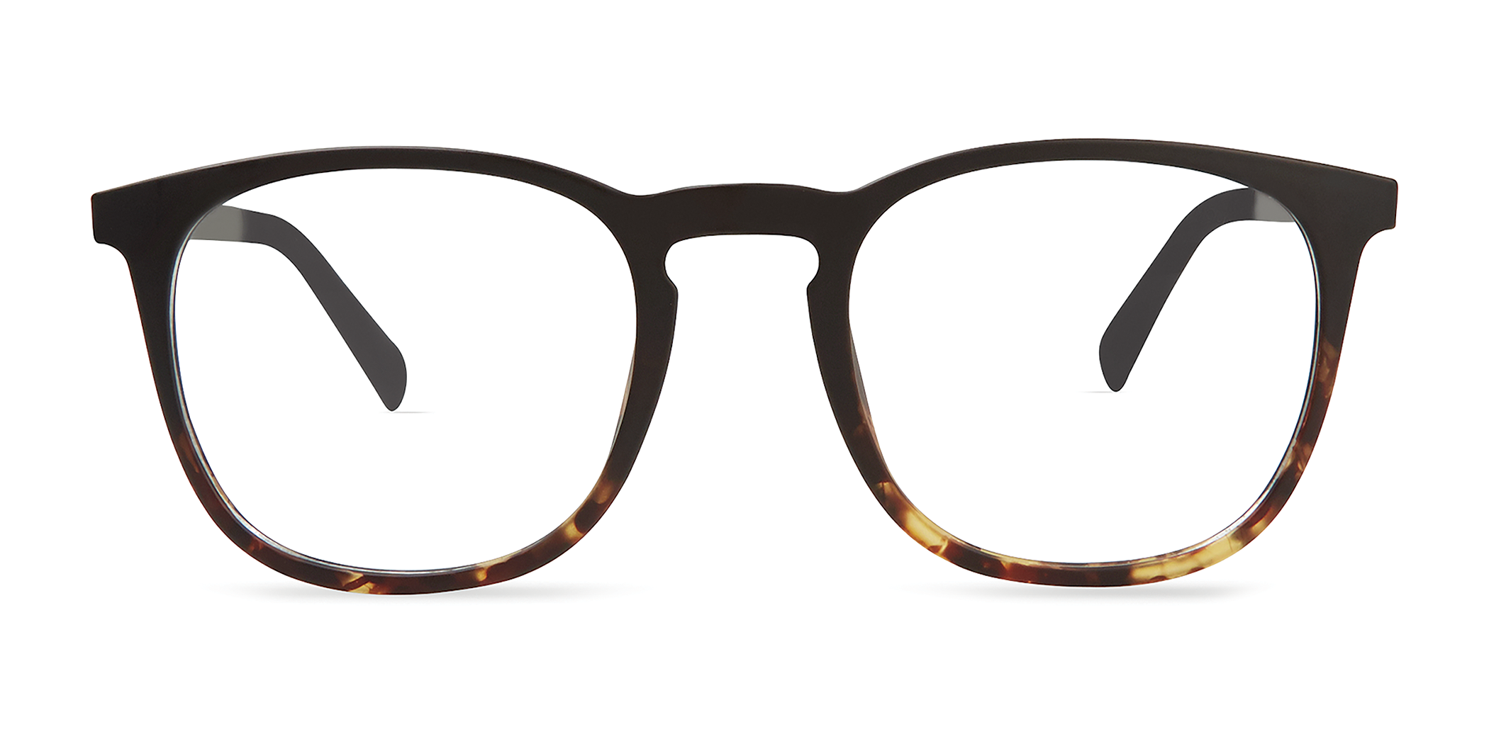 BLACK / TORTOISE GRADIENT