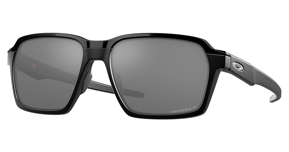 MATTE BLACK / PRIZM BLACK POLARIZED