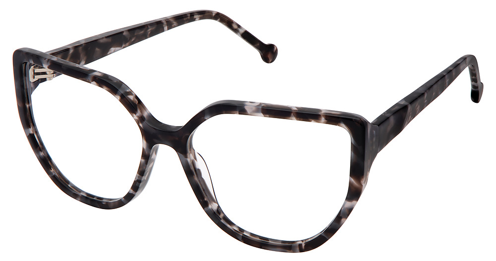 BLACK TORTOISE