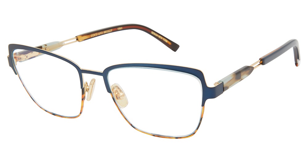 Blue-Tortoise