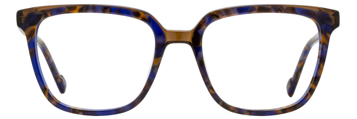 Indigo Tortoise