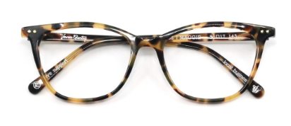 Tokyo Tortoise Shine