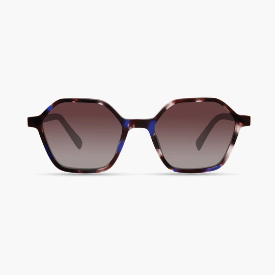 Blue Brown Tortoise